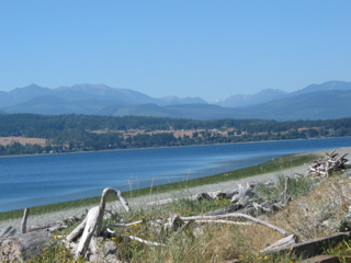 photos