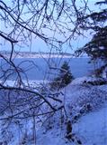 2nd Snow of the winter, December 2006