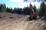 Clearing trees at drain field